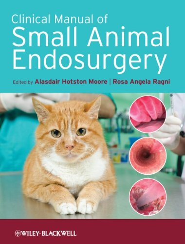 Small Animal Surgery