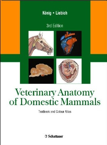 mammal anatomy an illustrated guide free download