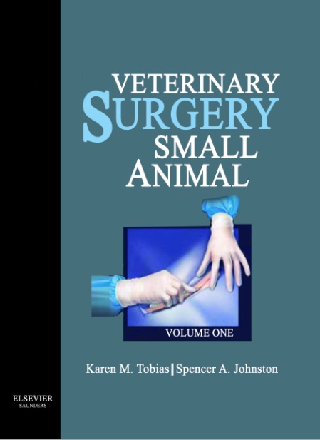 VeterinarySurgery:SmallAnimal2-VolumeSet