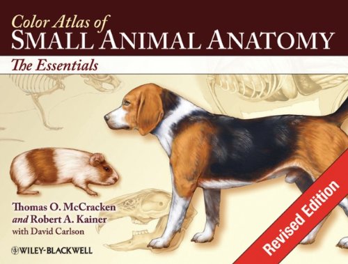 Miller's Anatomy of the Dog